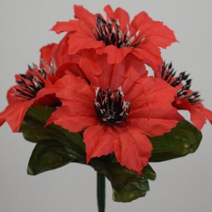 Айстра атласна 5 голів ЗК-135