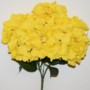 Гортензія люкс біла+синя+жовта 5-ка не прес БО-760