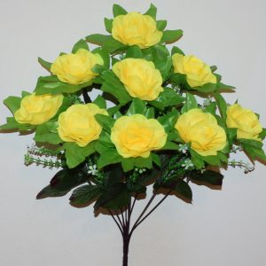 Роза камелия 9-ка БО-553