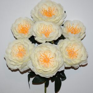 Півонія деревовидна люкс 7-ка не прес БО-717
