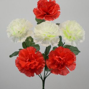 Гвоздика кольорова 6-ка МА-246