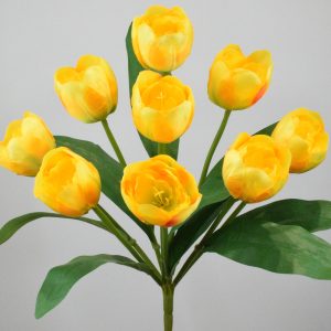 Тюльпан люкс піоновидний новий 9-ка не прес СР-659